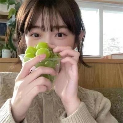 嫌猪手事件簿